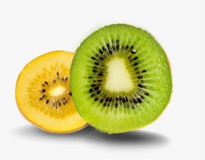 Green And Gold Kiwi #3662081