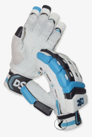 Dsc Intense Passion Cricket Batting Gloves - Batting Glove #3662108