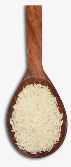 Rice #3662193