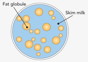 Zoom - Milk #3662340