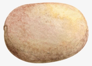 Hand Painted A Kiwi Fruit Transparent Fruit Png - Fruit #3662491