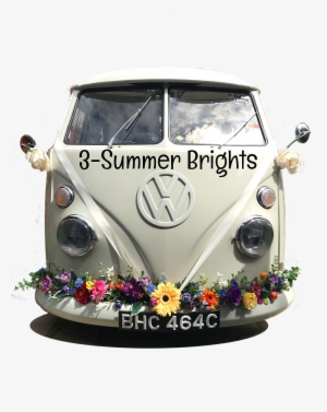 Need A Vintage Wedding Car Turn Heads On Your Wedding - Samba #3662567