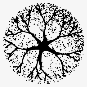 Tree Plan Png Download - Tree Plan Black Png #3662793