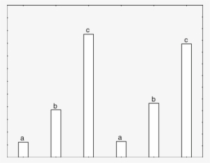 Calcium Content Of Minimally Processed Kiwifruit - Skyline #3662919
