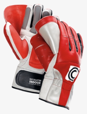 County Test Collection Indoor Wicket Keeping Gloves - Wicket-keeper's Gloves #3663005