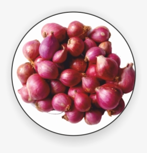 Small Onion Png #3663046