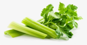 Drumstick - Celery Transparent Background #3663277