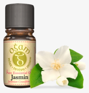 Jasmine - Essential Oil #3663327