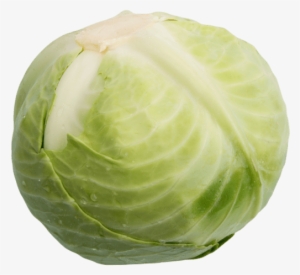 ½ Unit - Cabbage #3663505