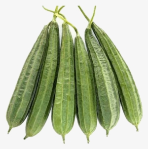 500g - Turai Vegetable #3663755