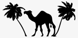 Camel And Palm Trees Public Domain Vectors - Camel Clipart #3664011 Camel And Palm Trees Public Domain Vectors - Camel Clipart #3664011