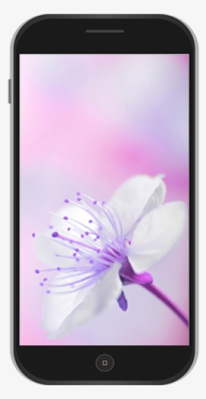 Flowers Wallpaper - Wallpaper #3664135