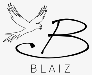 Shop The Best Latin American Design Delivered Straight #3664136