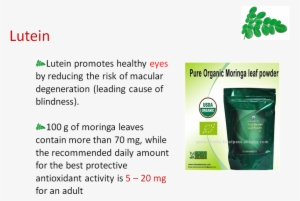100 Seeds Organic Dry Moringa Oleifera Seed Thai Herb #3664162