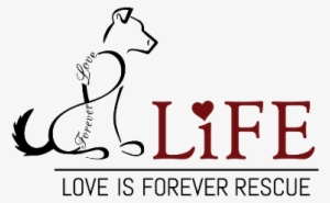 L - I - F - E - Animal Rescue And Sanctuary - Forever - Life After The Wife #3664439