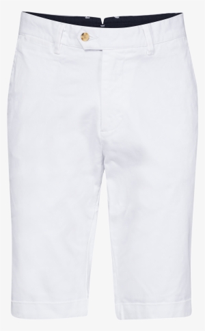 Bermuda Shorts #3664870