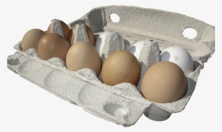Egg,hen's Egg,egg Carton,lots Of Eggs,egg Packaging,brown - Carton Of Eggs Transparent Background #3664942