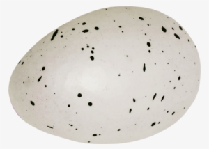 Free Png Eggs Png Images Transparent - Discorbitina Pustulata #3665226