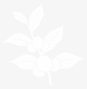 Coffee Leaf - Illustration #3665433