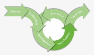 The Employee Lifecycle - Employee Lifecycle #3665481