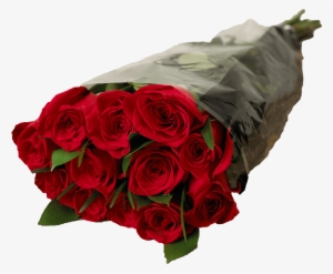 Â Â - Garden Roses #3666025