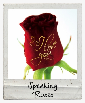 Jump Rope For Heart Australia #3666399