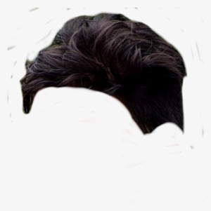 How To Edit Your Hair Like Cb Edit How To Edit Hair - New 2018 Png Picsart Hair #3666855