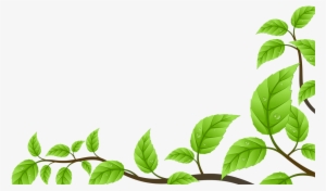 Oasis Health - Frame Daun Png #3666938