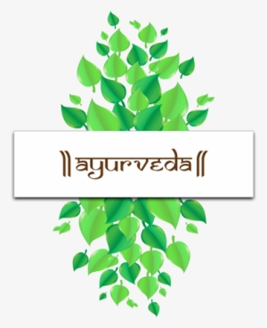 Read More - #3667747