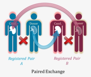 Paired Exchange Cand Final - Pathophysiology Of Sanjad Sakati Syndrome #3668819