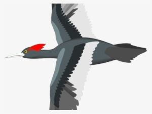 Flying Bird Clipart Bird Png - Flying Bird Png Animated #3669027