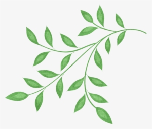 Visit - Branch And Leaves Clipart #3671860