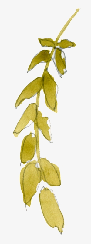 Green Branches And Leaves Transparent Decorative - Portable Network Graphics #3672119