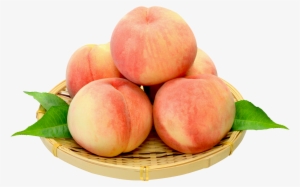 Fruit And Vegetables Basket Png - Peach #3672120