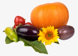 Autumn Harvest Of Vegetables #3672399