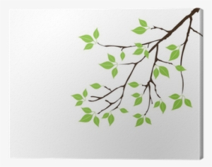 Vector Tree Branch With Green Leaves Canvas Print • #3672448 Vector Tree Branch With Green Leaves Canvas Print • #3672448