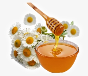 Med 55 - Eat Honey #3672569
