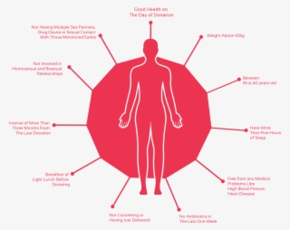 Age - Donate Blood And Have More Blood Relationships #3674085