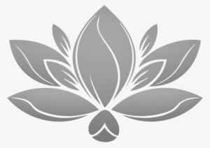Lotus Gray No Background - Transparent Background Lotus Flower Png #3674985