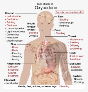 Side Effects Of Oxycodone - Cat Drug Side Effects #3674987