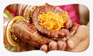 Find Your Life Partner - Indian Wedding Images Png #3675253