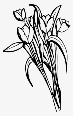 Hand Drawn Black And White Flowers Love Vector - Love #3675844