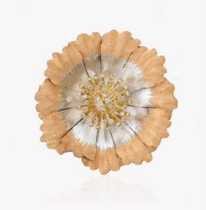 Jewellery #3675879