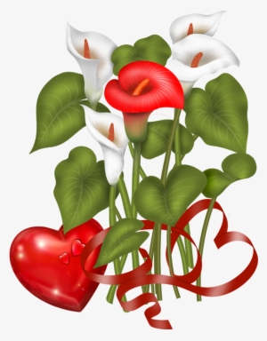 Valentine's Day Flowers - Anthurium #3676091