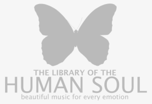 Minim - The Library Of The Human Soul #3676500