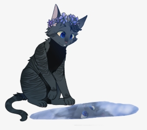 Edit Fixed - Black Cat #3676705