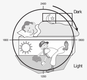 Brains Clipart For Kid Png - Day Night Concept Clipart Black And White #3677608
