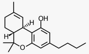 File - Tetrahydrocannabinol-c4 - Svg - 3 5 Dimethylphenol #3679042