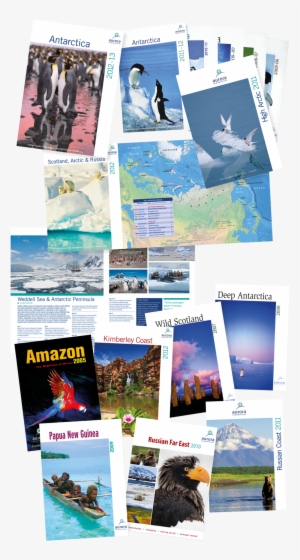 Tony Gordon Printcounsel Brochures Montage - Brochure #3680386