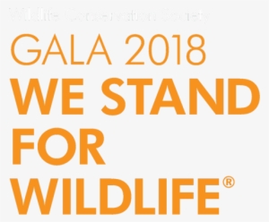 One Page Site - Don T Understand Anything #3681700